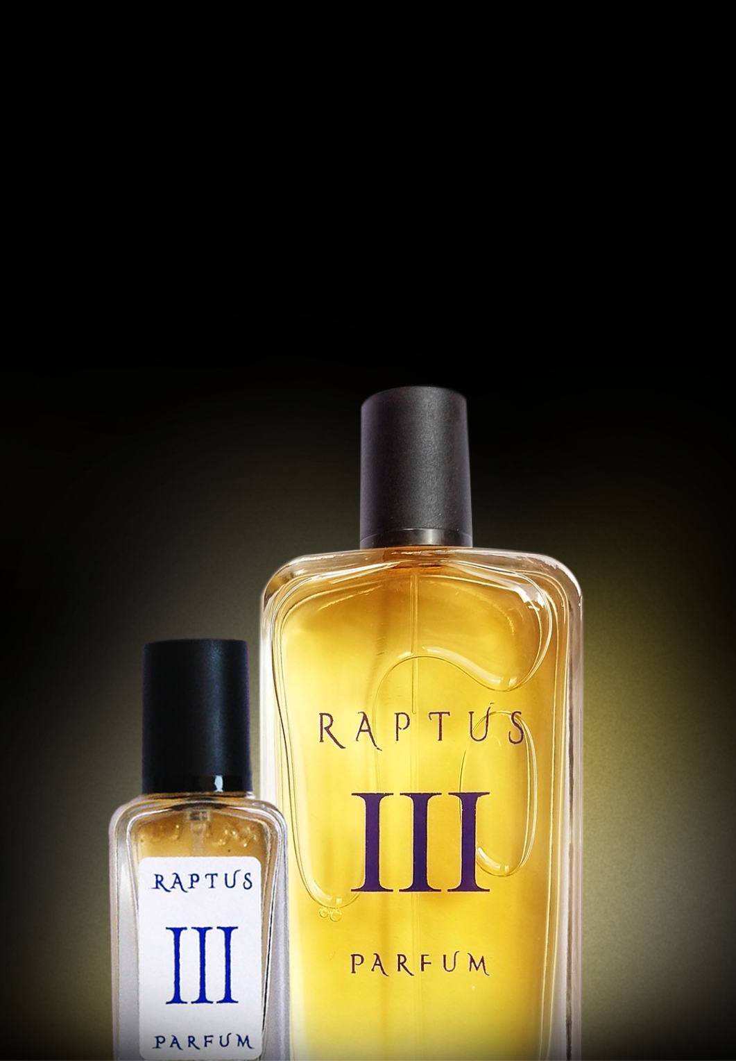 RAPTUS