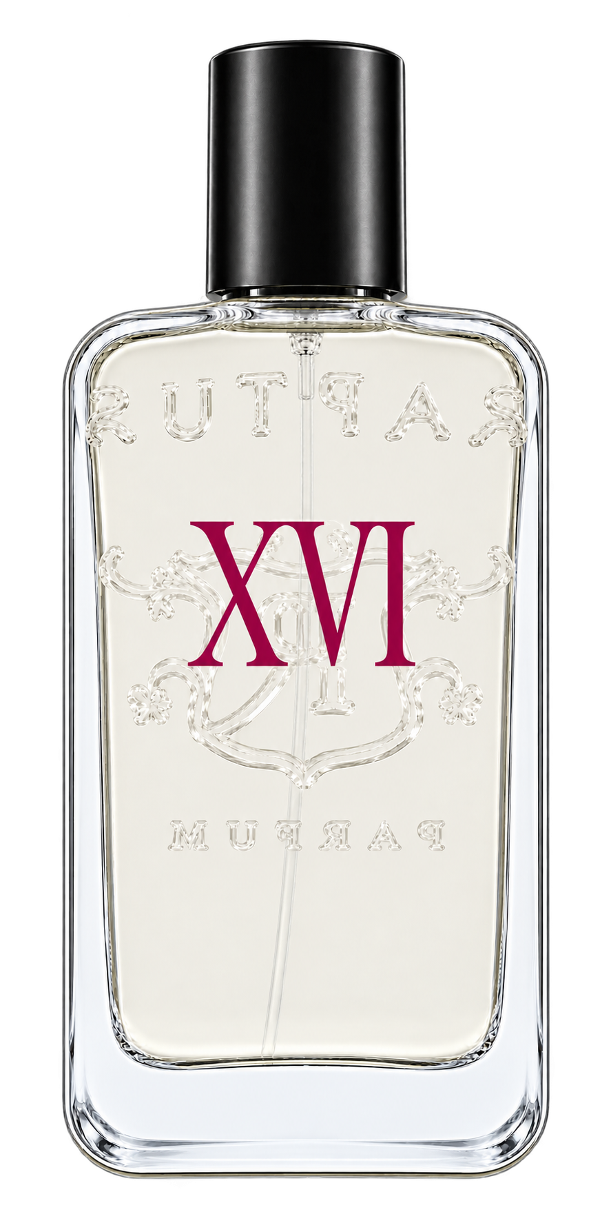 RAPTUS XVI