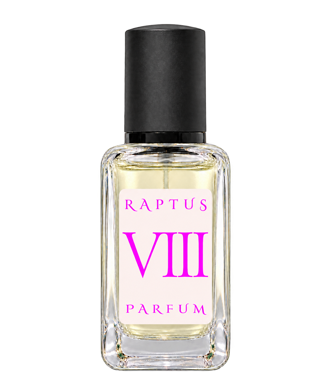 RAPTUS VIII