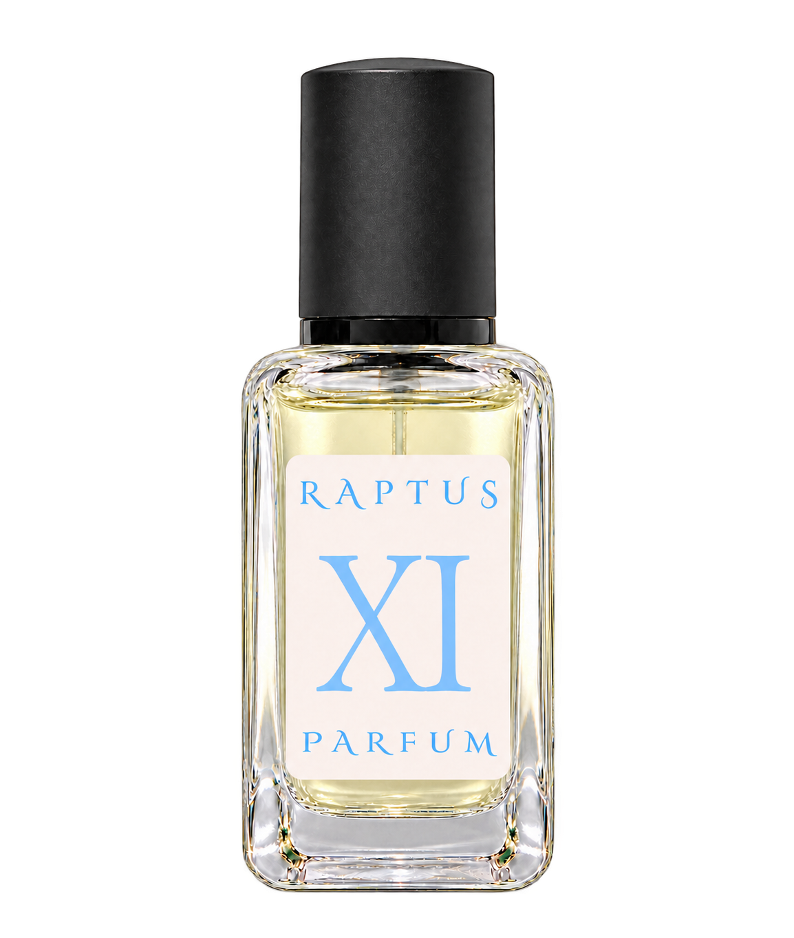 RAPTUS XI
