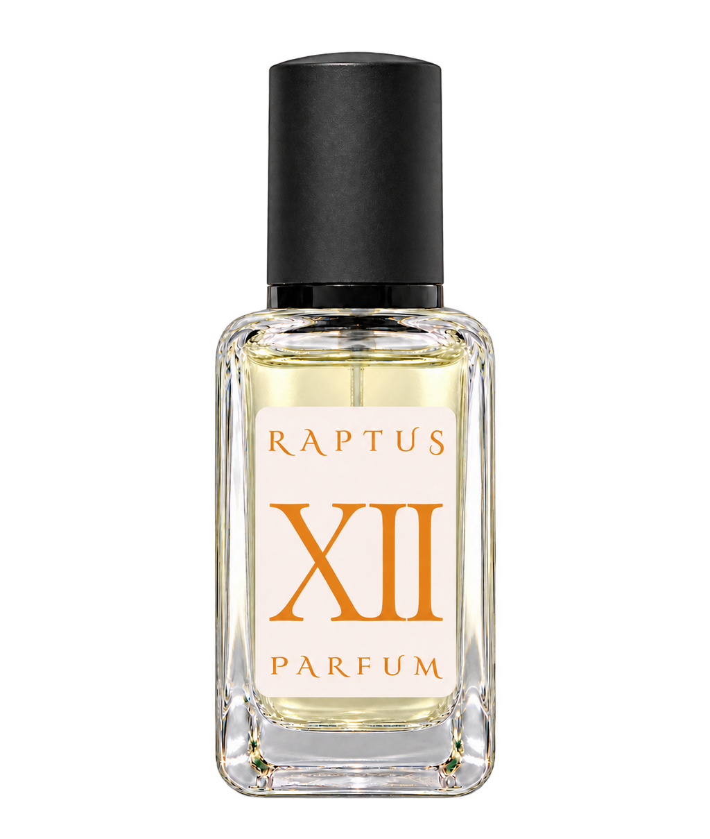 RAPTUS XII