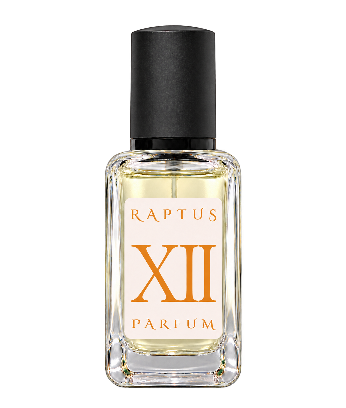 RAPTUS XII