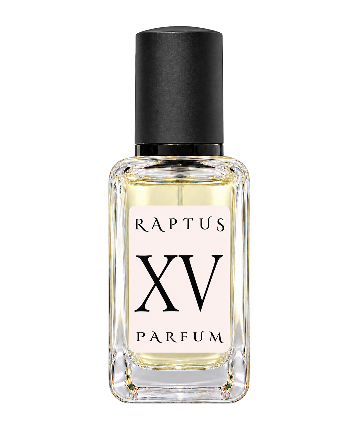 RAPTUS XV