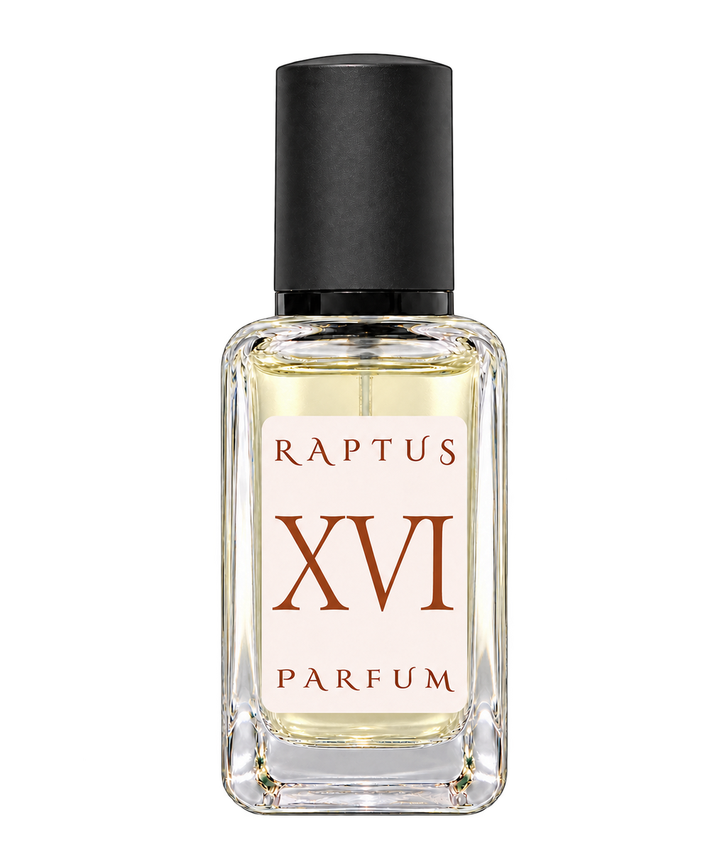 RAPTUS XVI