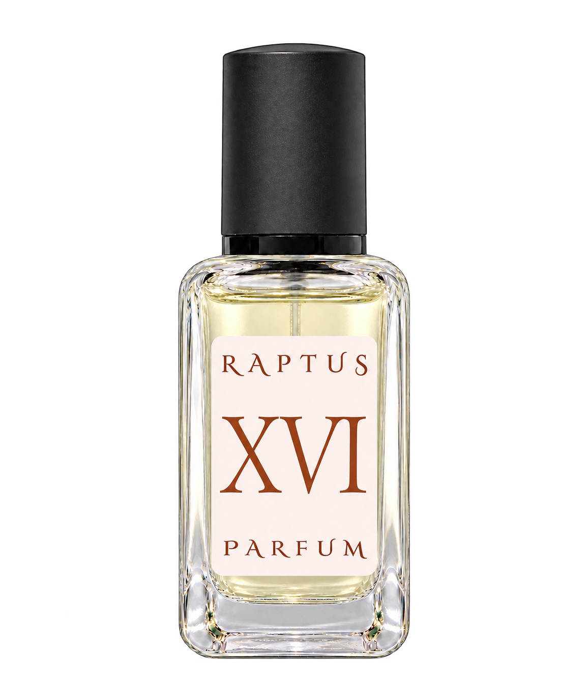 RAPTUS XVI