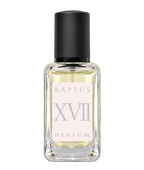 RAPTUS XVII
