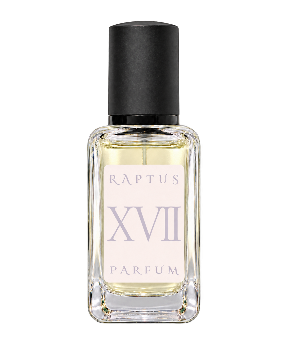 RAPTUS XVII