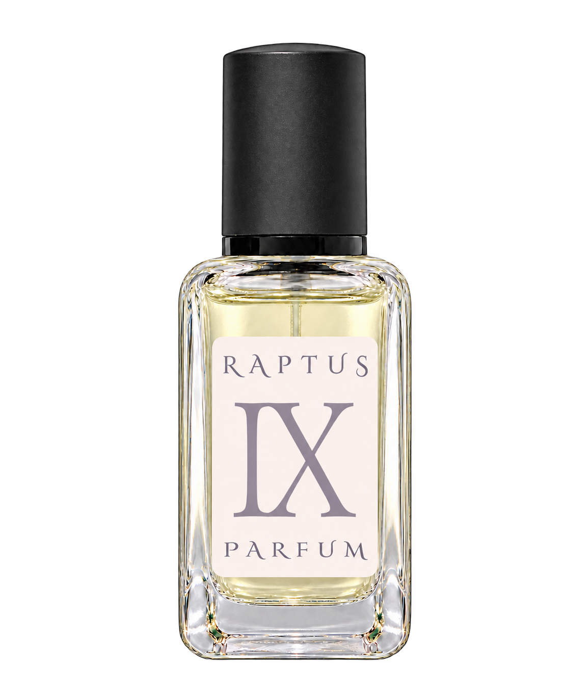 RAPTUS IX