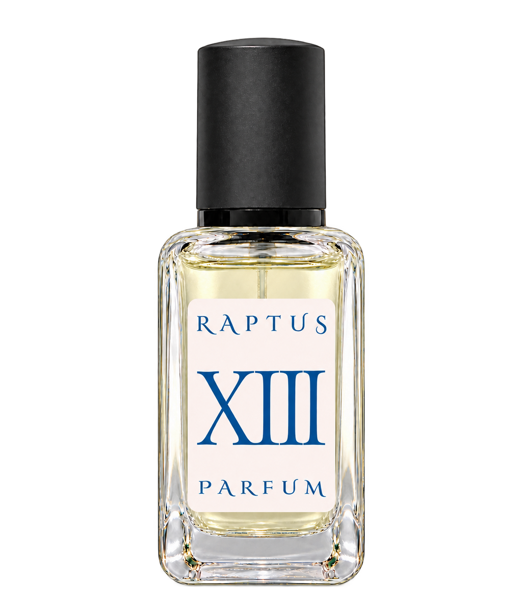 RAPTUS XIII