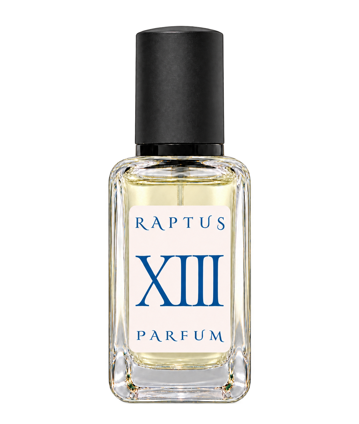 RAPTUS XIII