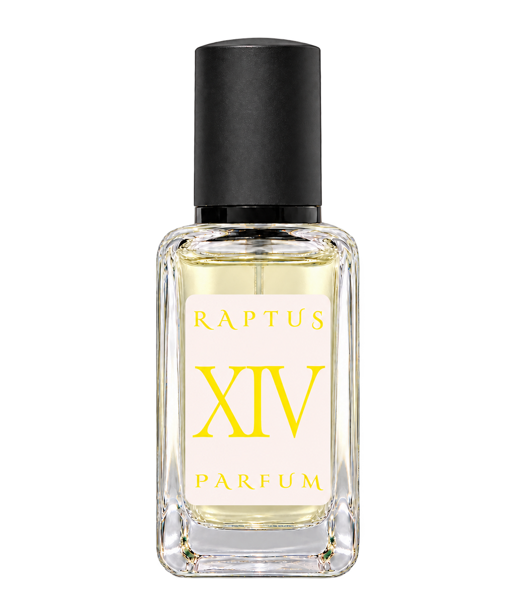 RAPTUS XIV