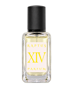 RAPTUS XIV