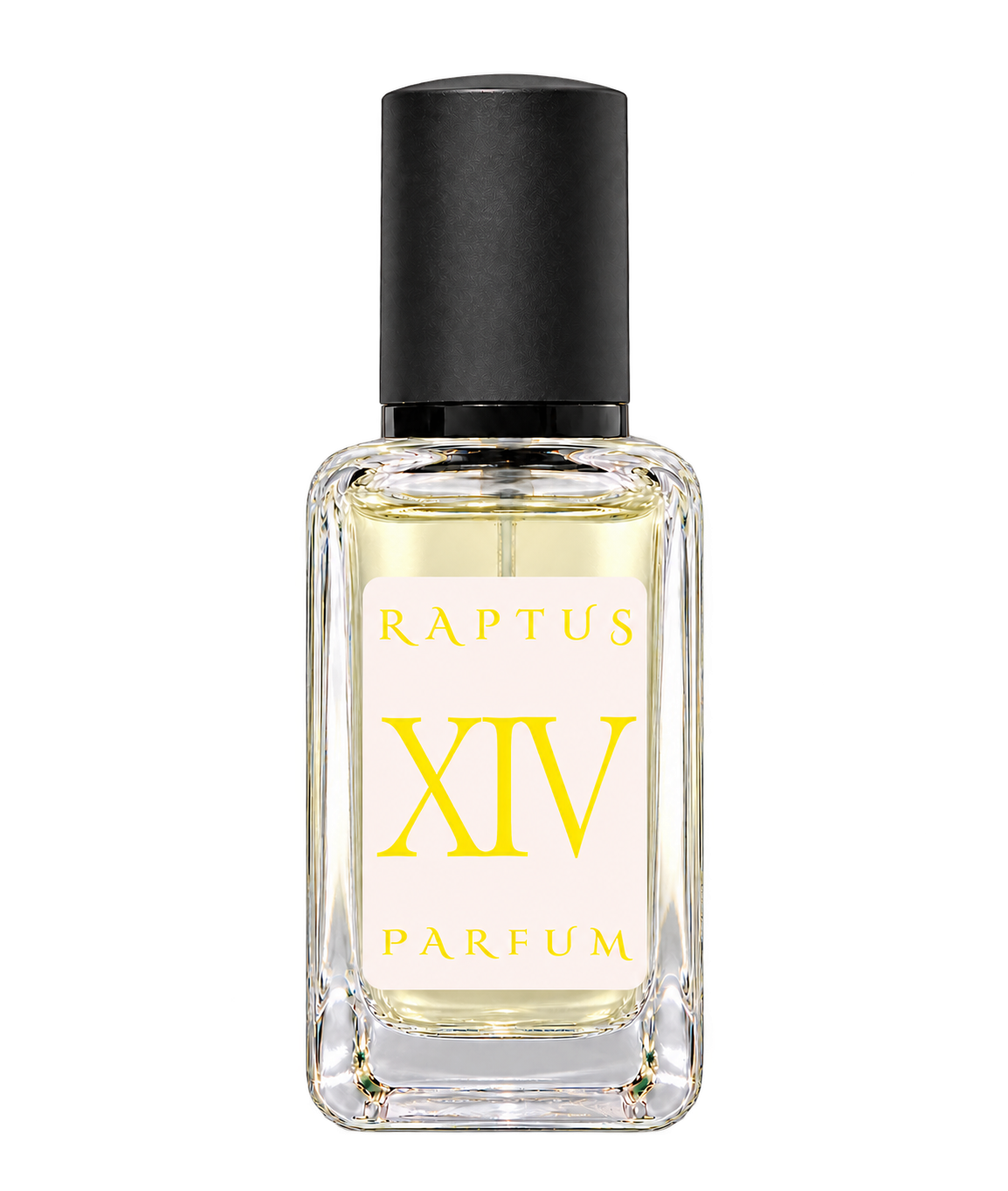 RAPTUS XIV