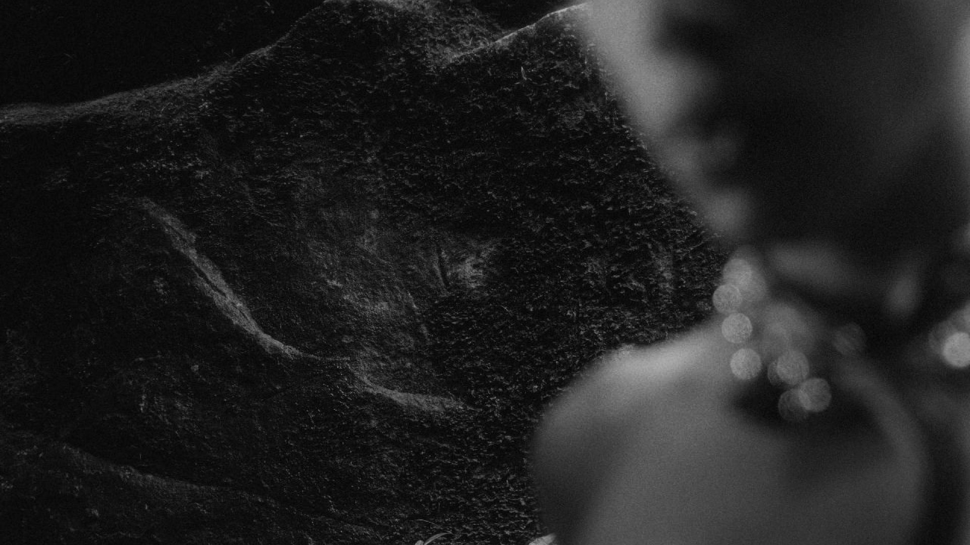 Close-up of a textured surface with a blurred foreground