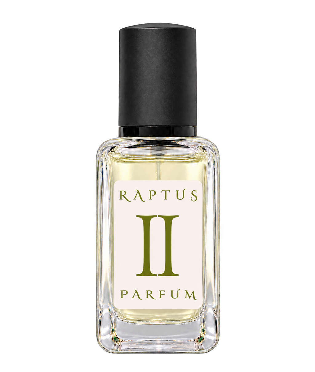 RAPTUS II