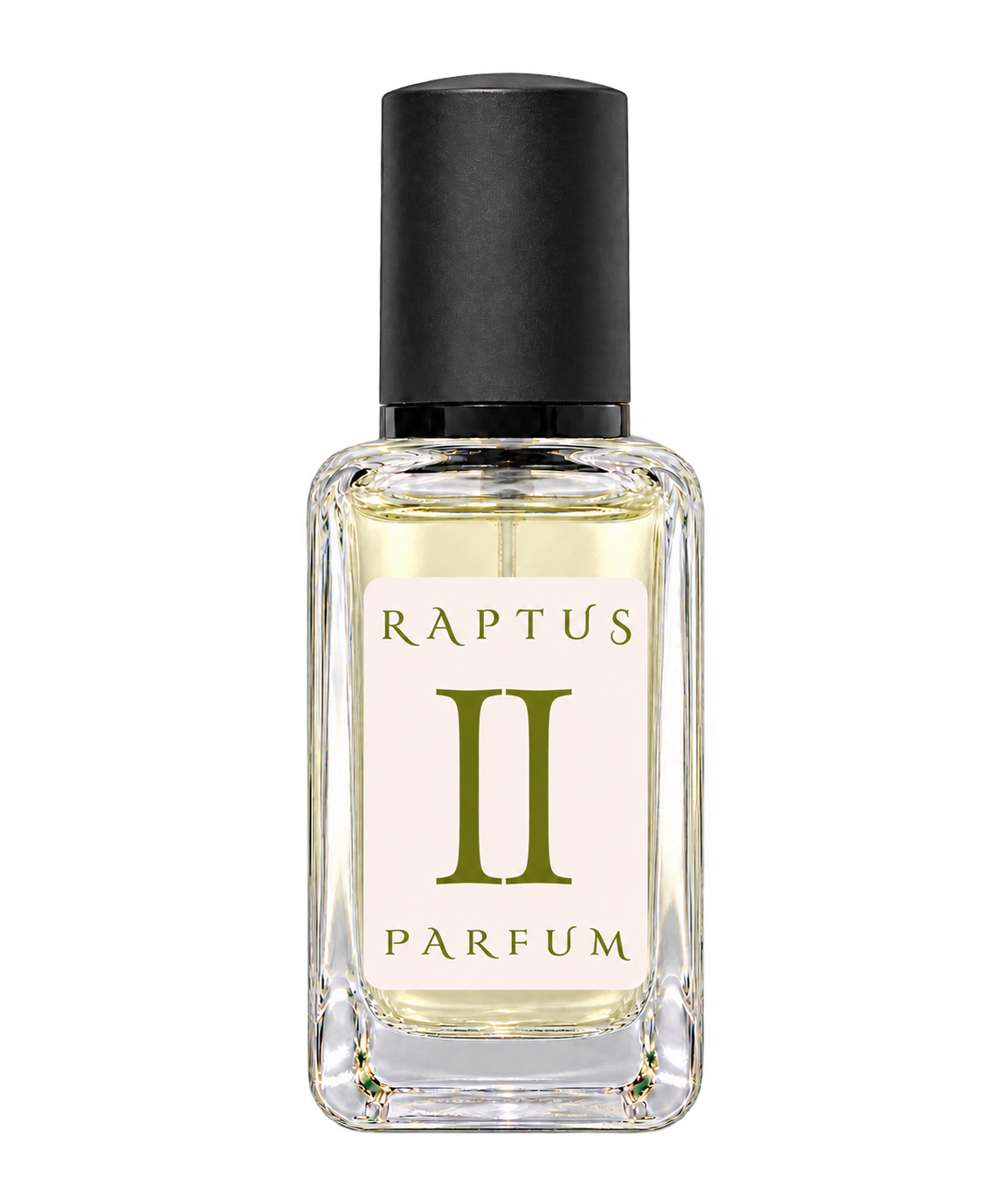 RAPTUS II
