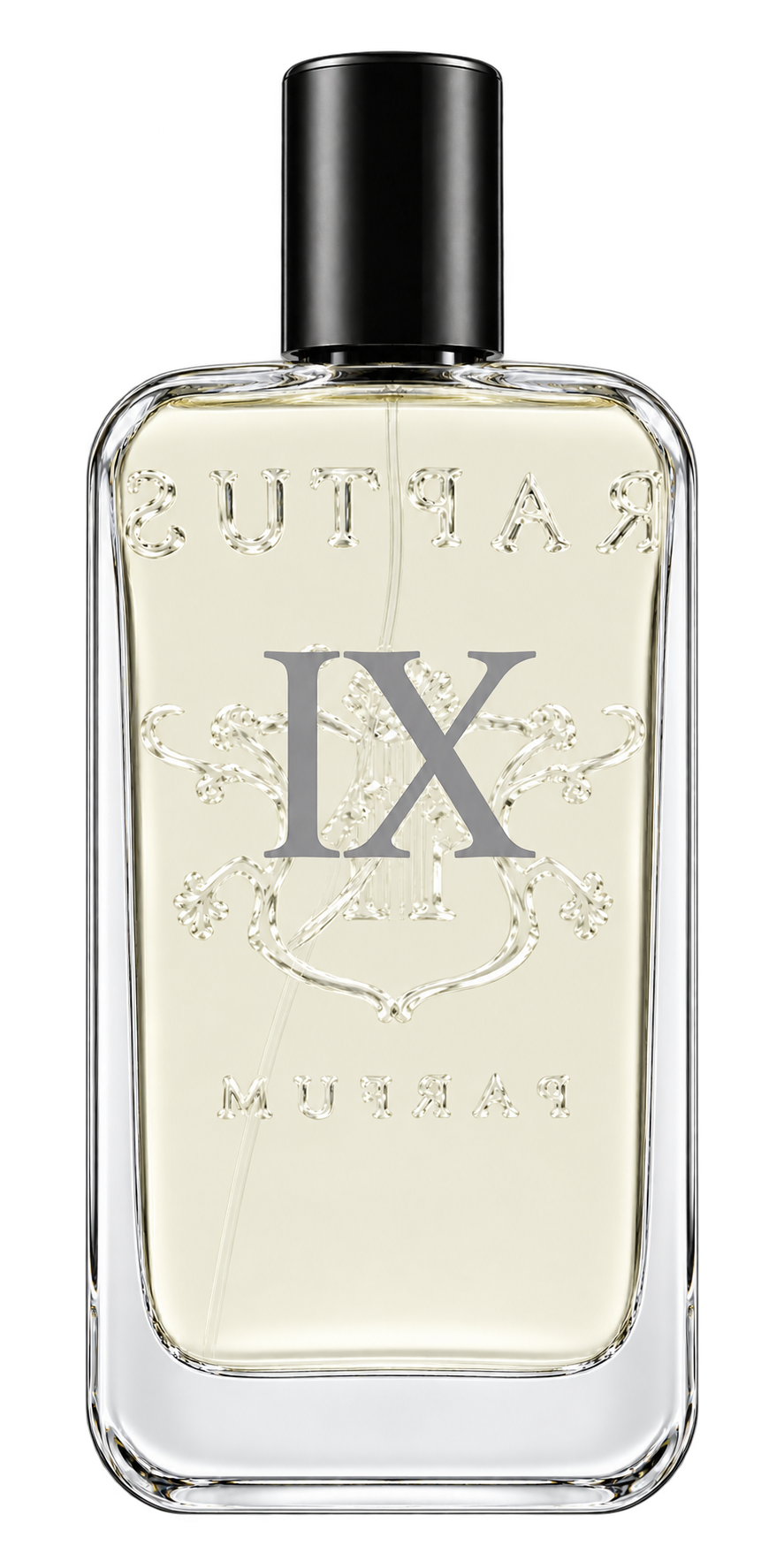RAPTUS IX