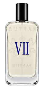 RAPTUS VII