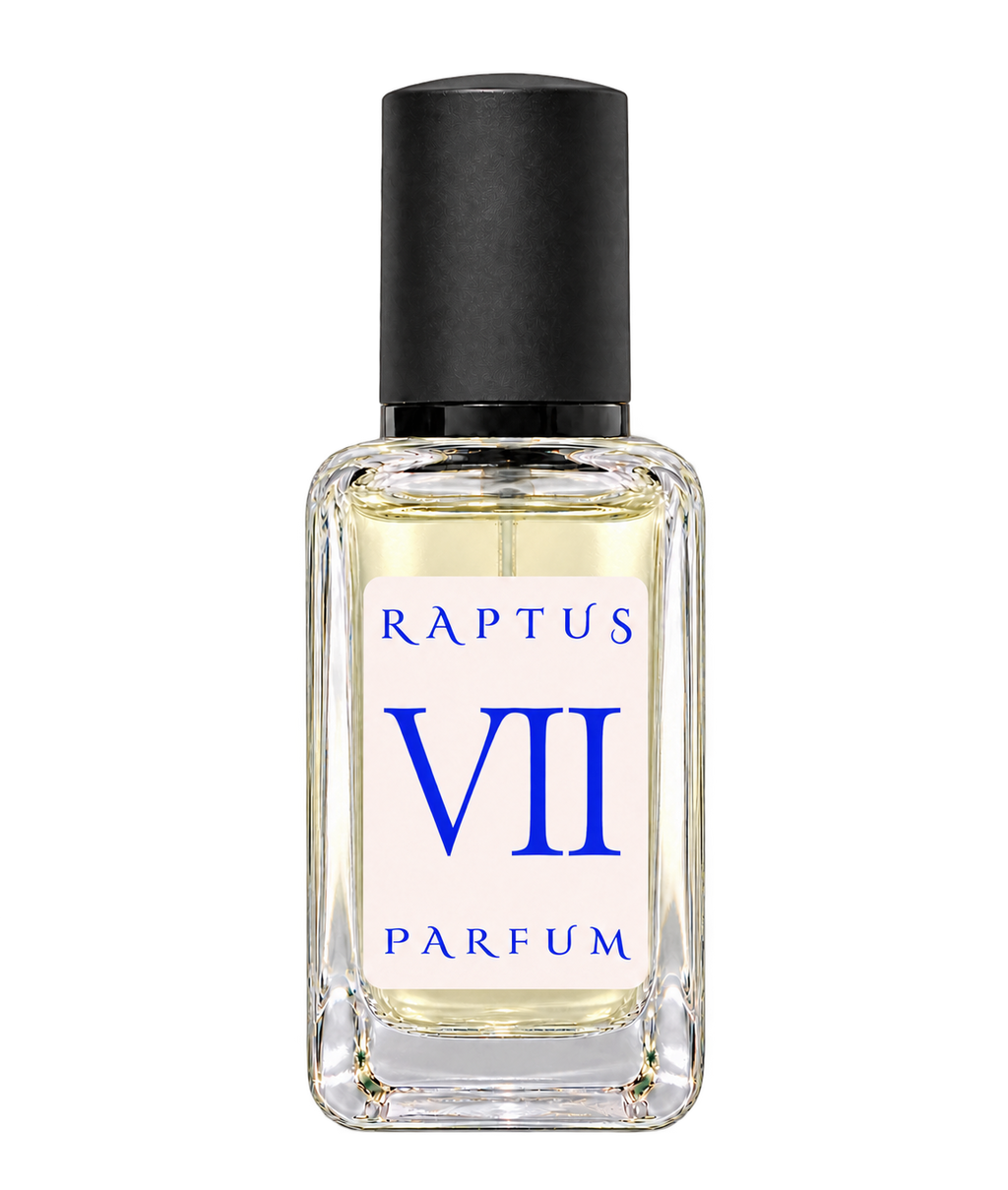 RAPTUS VII