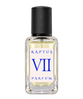 RAPTUS VII