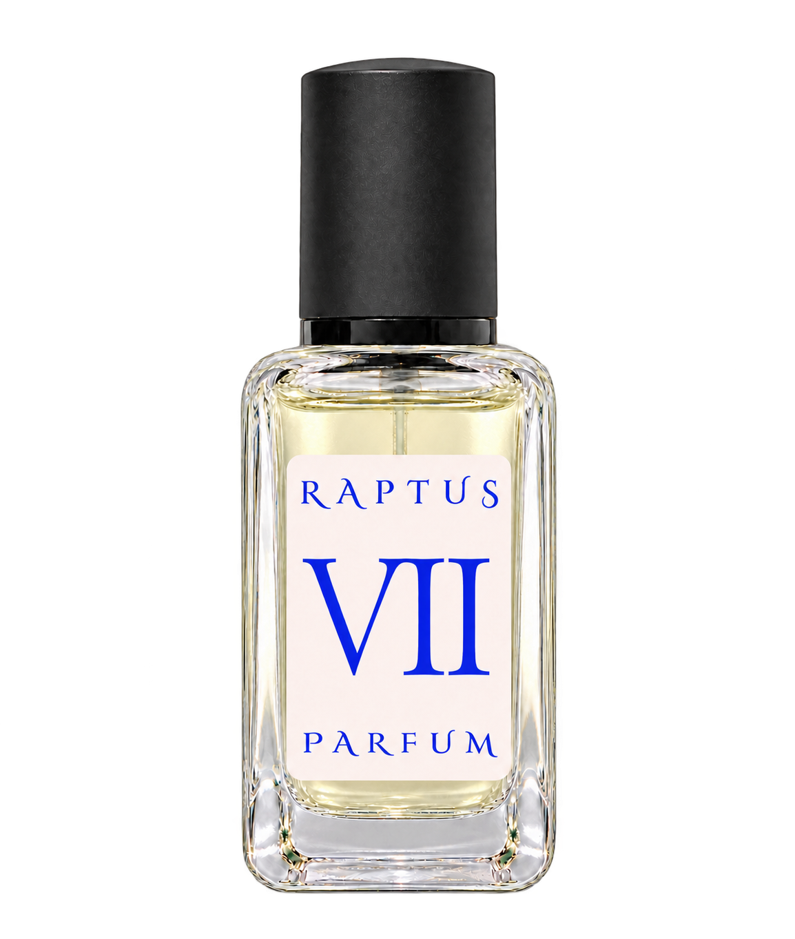 RAPTUS VII