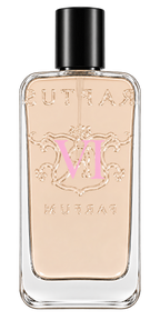 RAPTUS VI