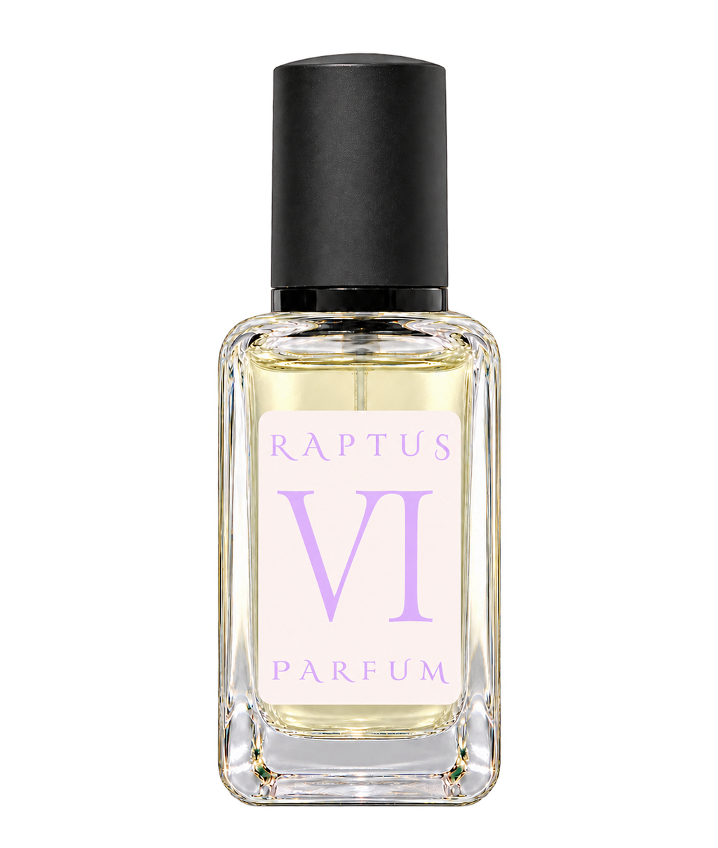 RAPTUS VI