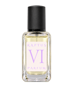 RAPTUS VI