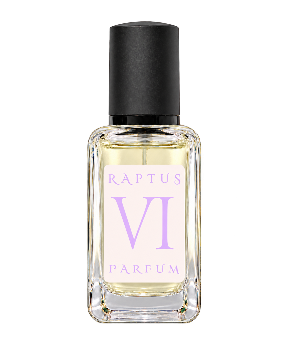 RAPTUS VI