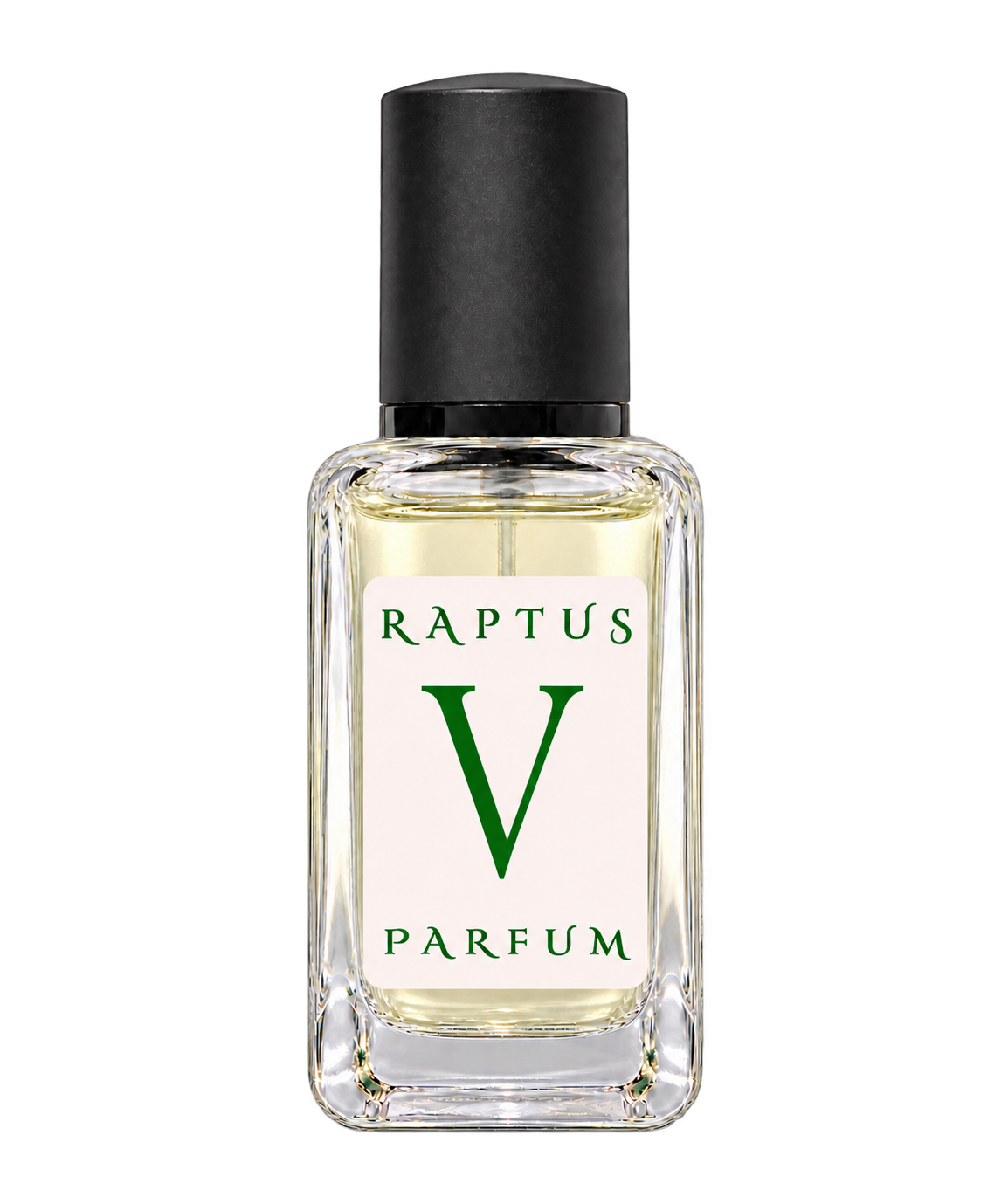 RAPTUS V