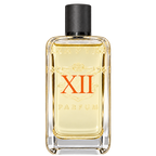 RAPTUS XII