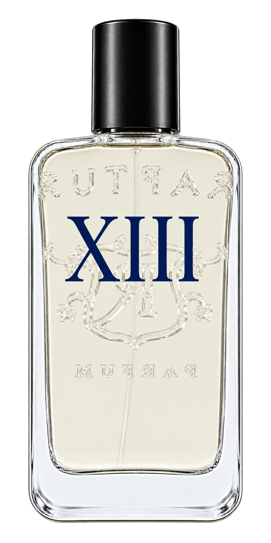 RAPTUS XIII